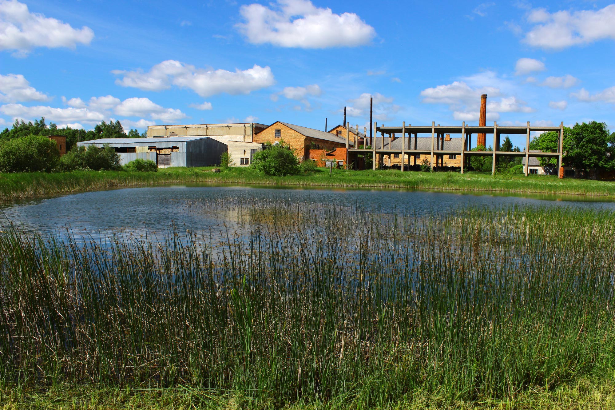 Padures, Kuldiga